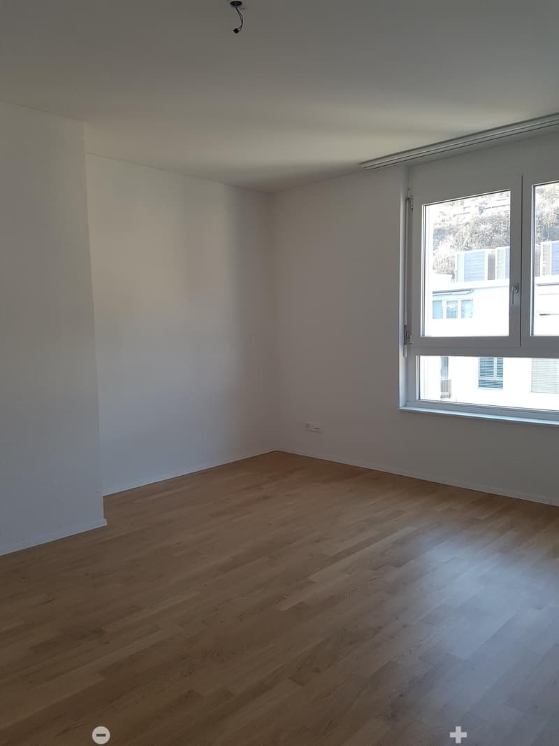 Moderne 3.5-Zimmer-Attika-Wohnung (5)