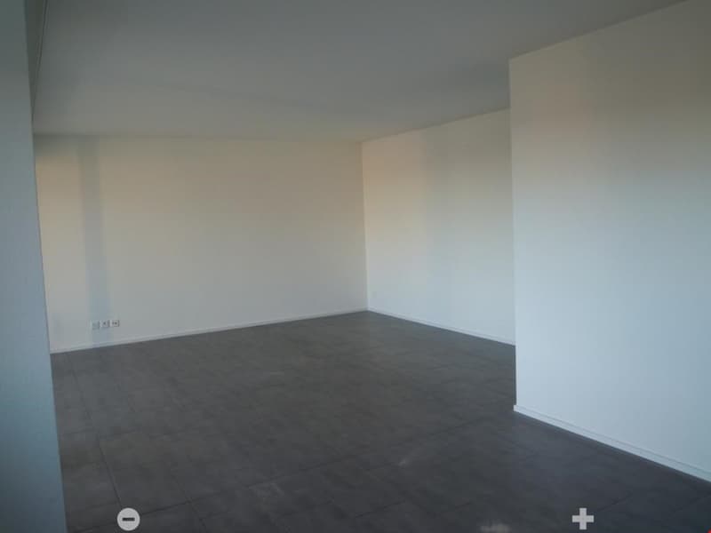 Moderne 3-Zimmerwohnung - Appartement moderne de 3 pièces (5)