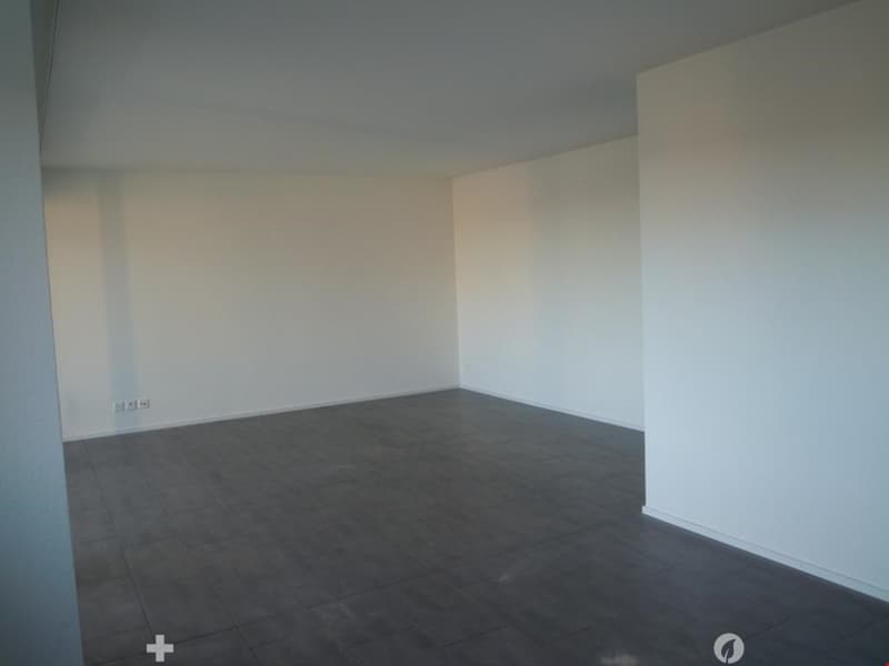 Moderne 3-Zimmerwohnung - Appartement moderne de 3 pièces (5)