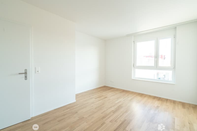 4.5-Zimmer-Attika-Wohnung (7)
