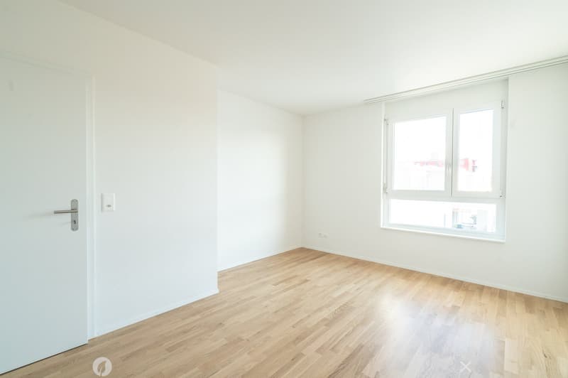 4.5-Zimmer-Attika-Wohnung (7)