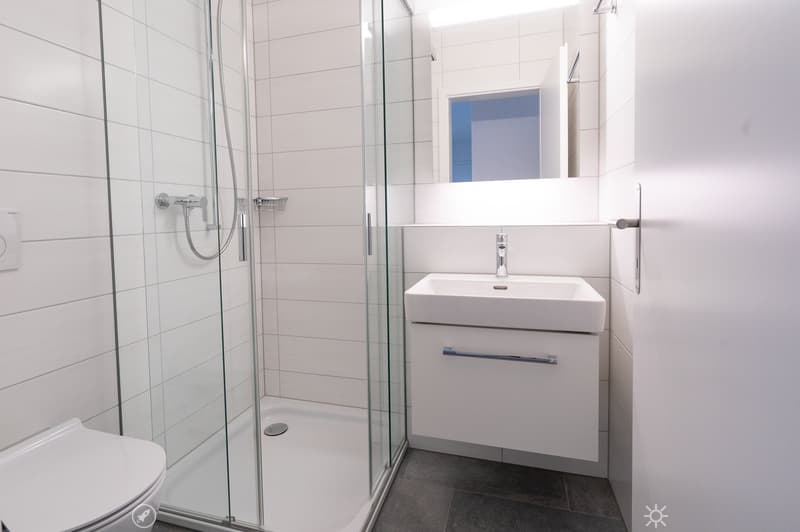 4.5-Zimmer-Attika-Wohnung (4)
