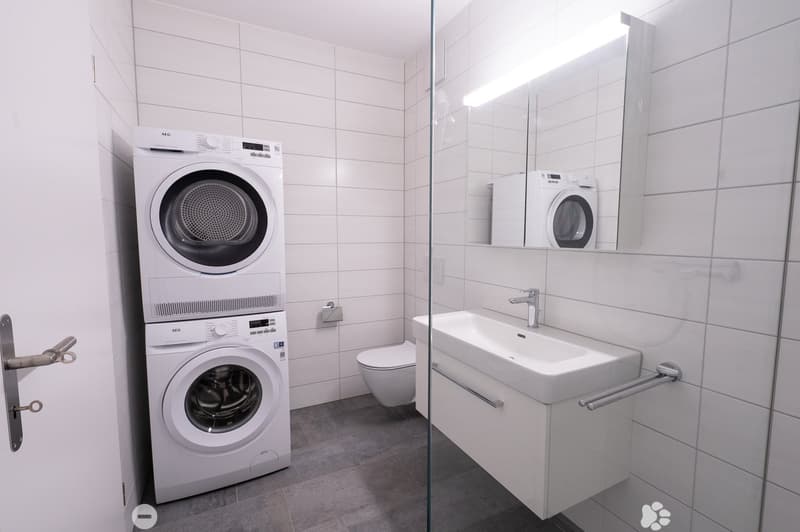 4.5-Zimmer-Attika-Wohnung (6)
