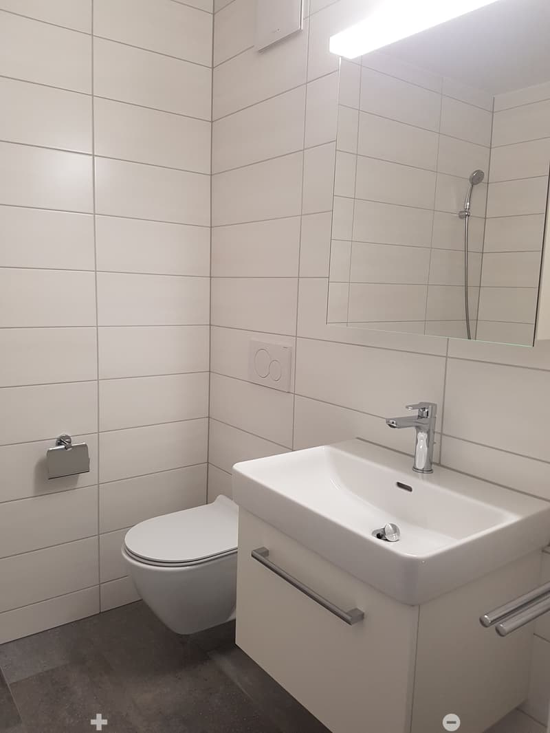 Moderne 3.5-Zimmer-Erdgeschosswohnung (5)