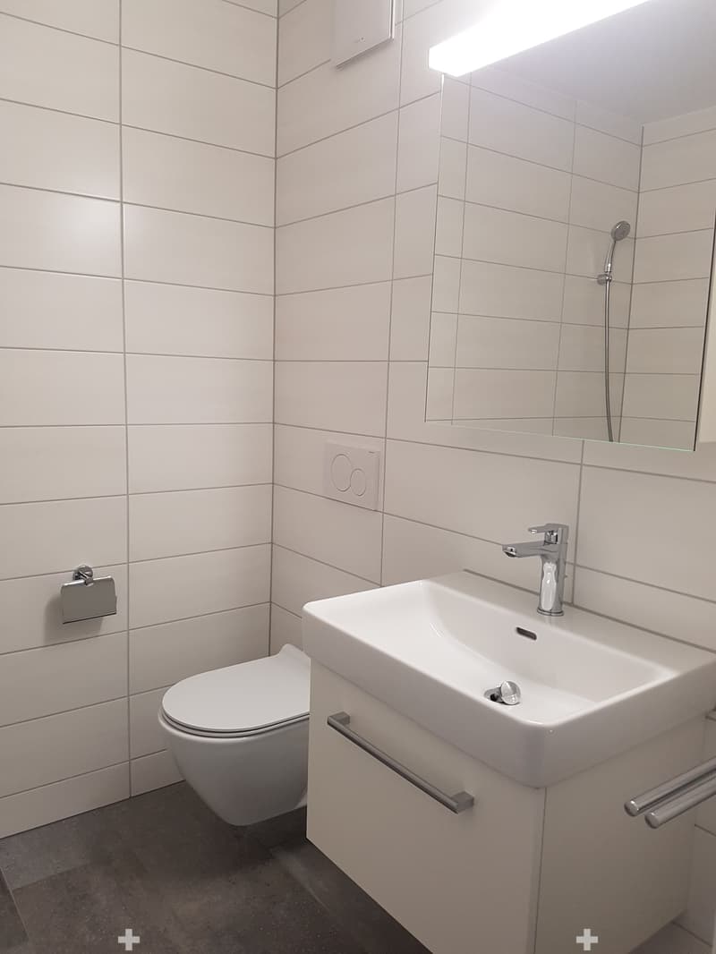 Moderne 3.5-Zimmer-Erdgeschosswohnung (5)
