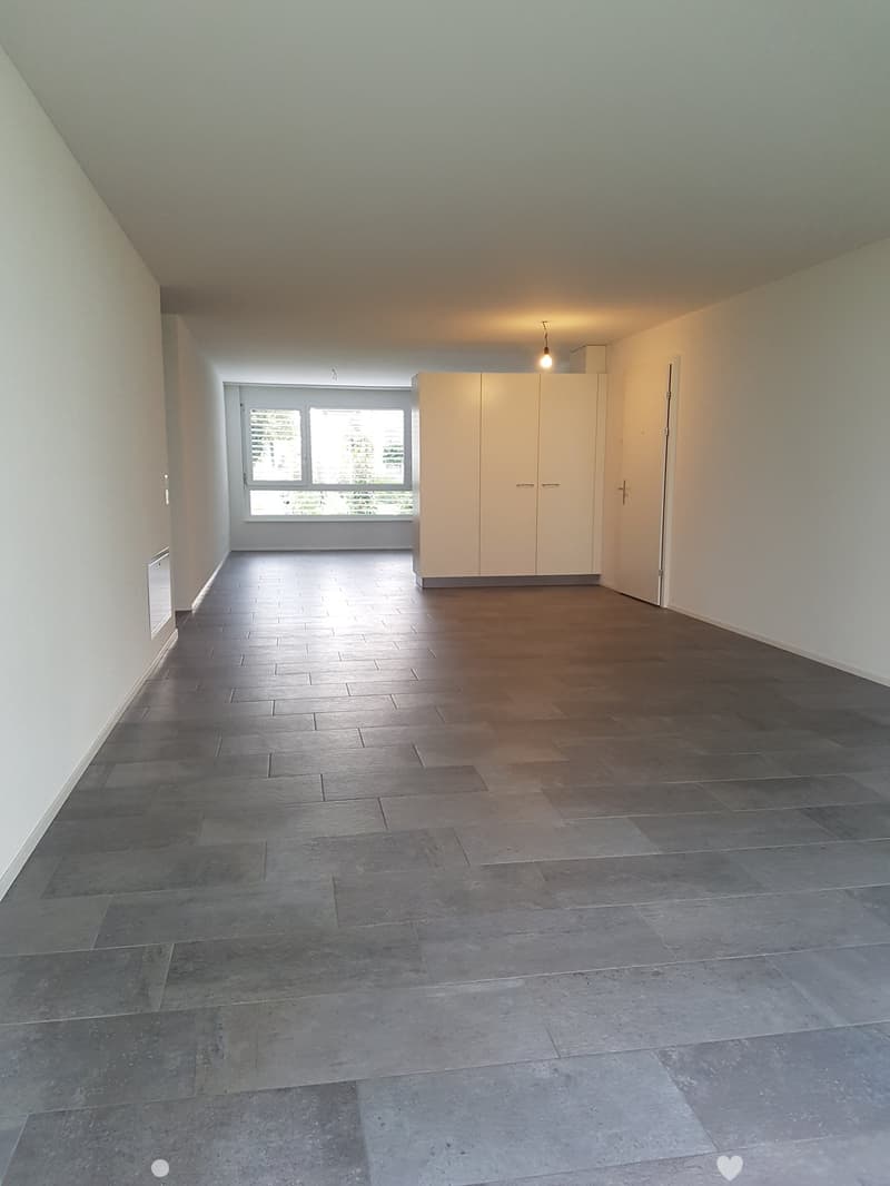Moderne 3.5-Zimmer-Erdgeschosswohnung (3)