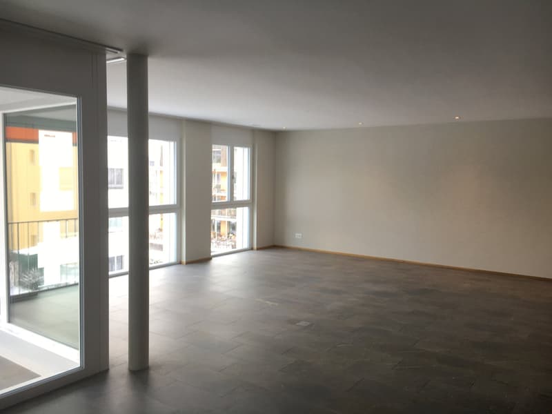 4.5-Zimmerwohnungen im gehobenen Eigentumsstandard im Erdgeschoss (3)