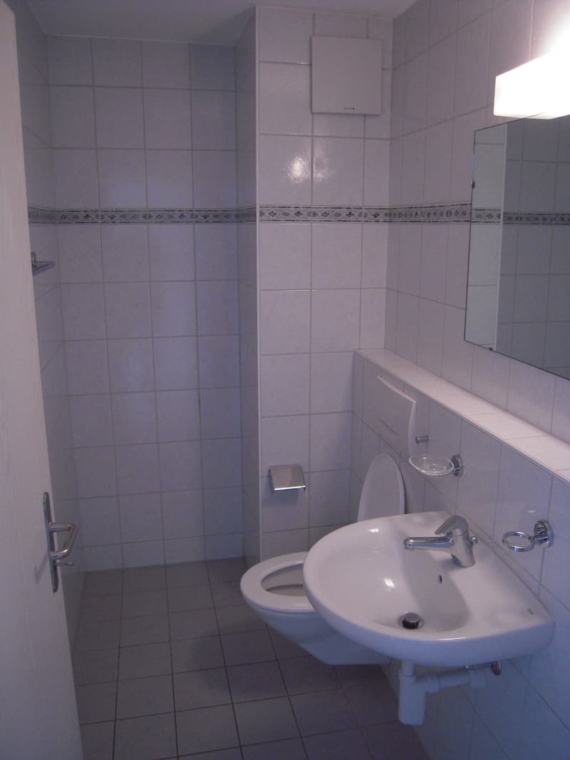 Heimelige 5 1/2-Zimmerwohnung (10)