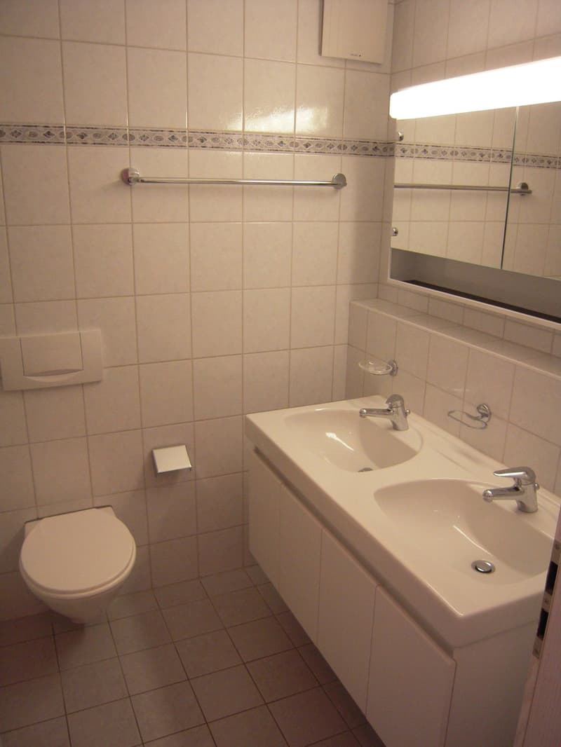 Heimelige 5 1/2-Zimmerwohnung (8)
