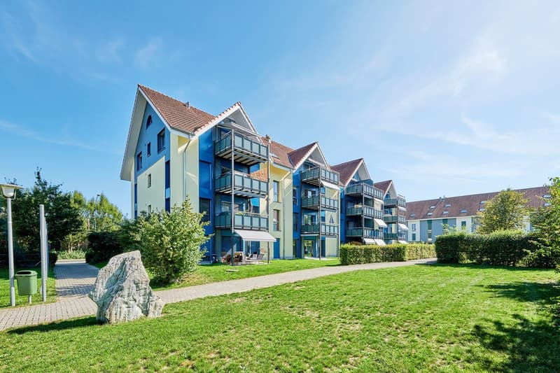Heimelige 5 1/2-Zimmerwohnung (1)