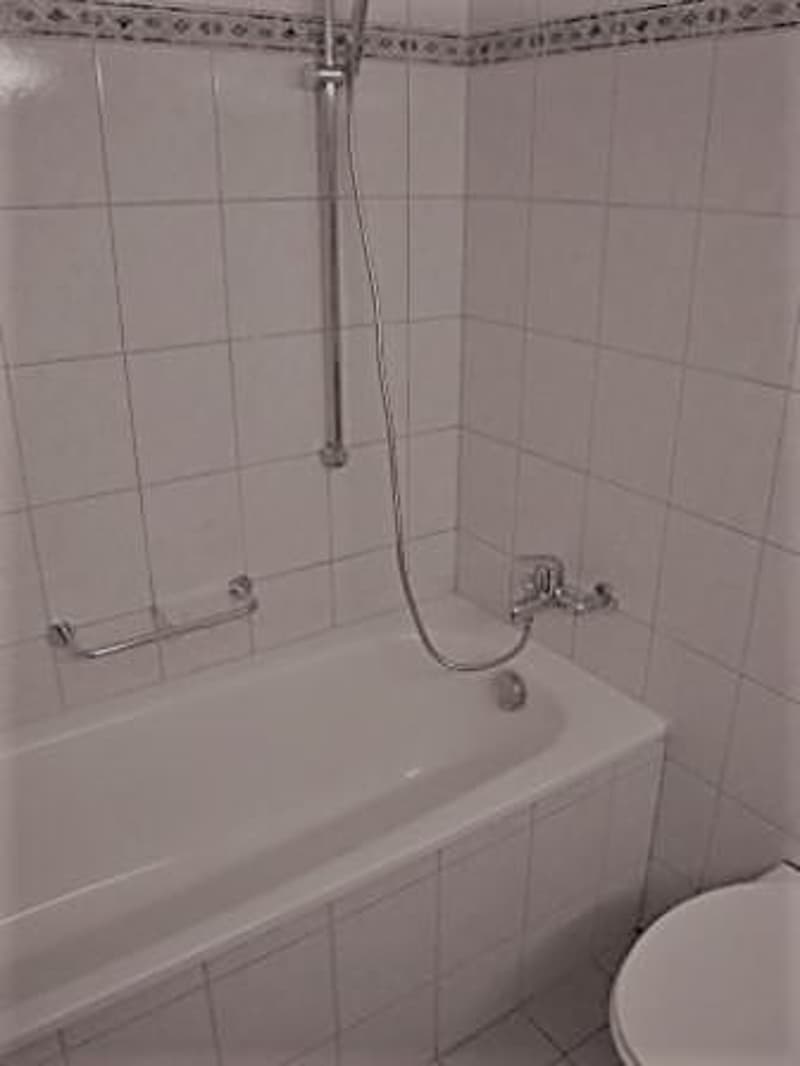 Heimelige 5 1/2-Zimmerwohnung (9)