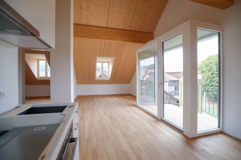 Sicht Küche mit Balkon und Wohnzimmer