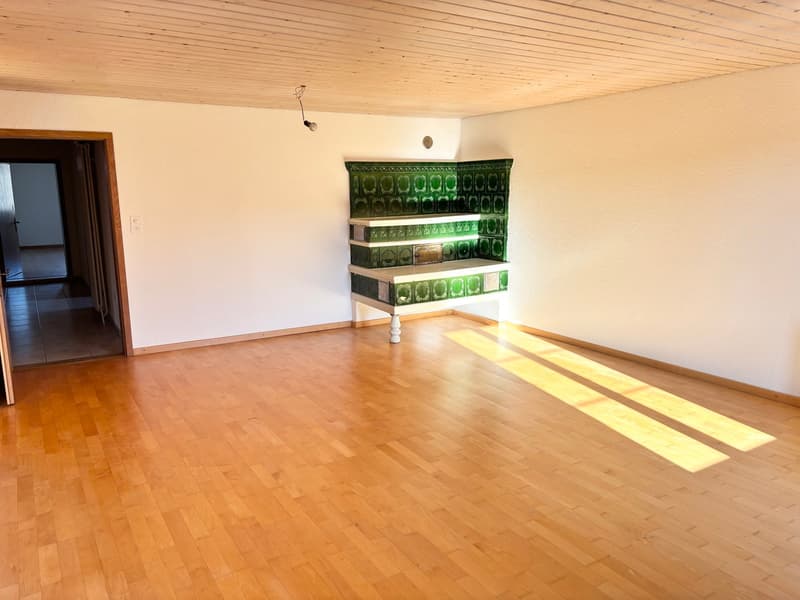 Cozy attic apartment with garden seating (2)