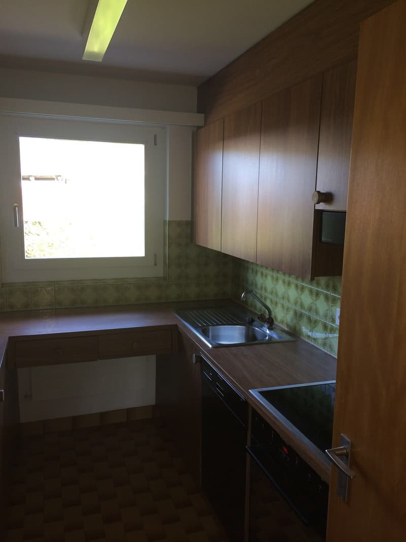 Wooden cabinets, ceramic tiles, stainless steel sink, oven, wooden floor, fluorescent lighting
