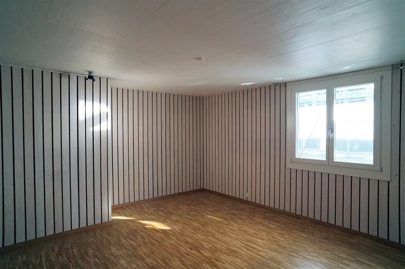 Schallisoliertes Musikzimmer im Untergeschoss