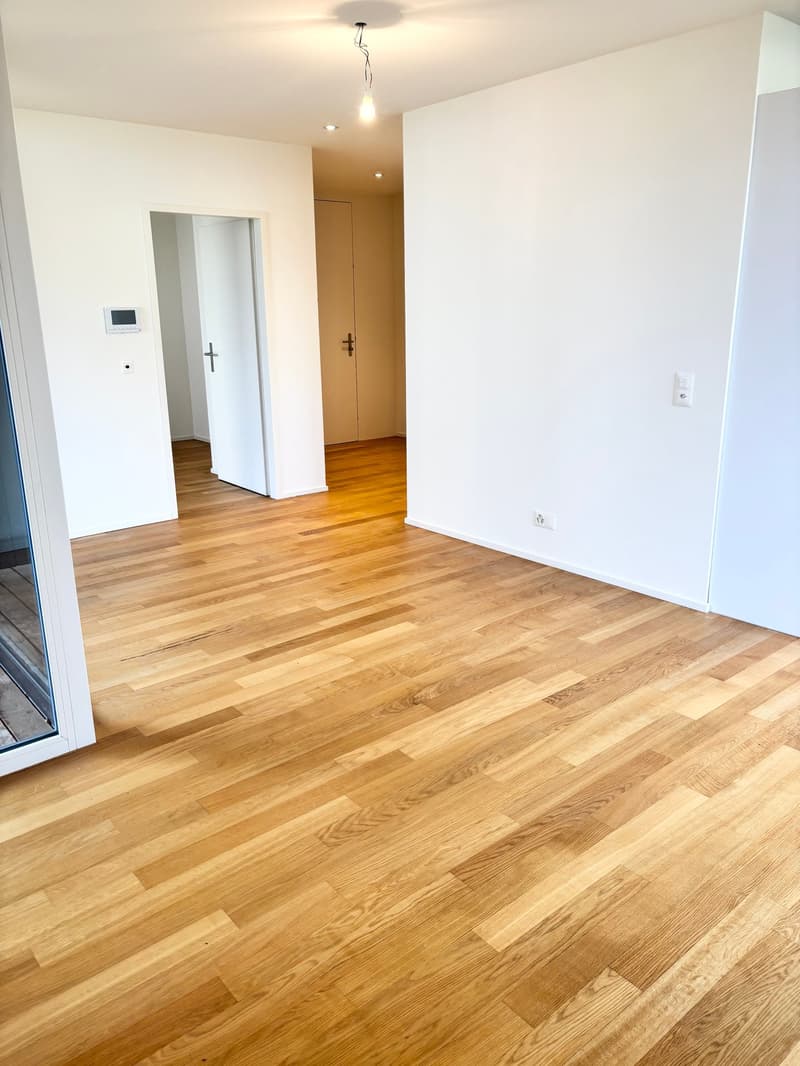 Appartement moderne 2.5 pièces avec terrasse - N° 0.4 (4)