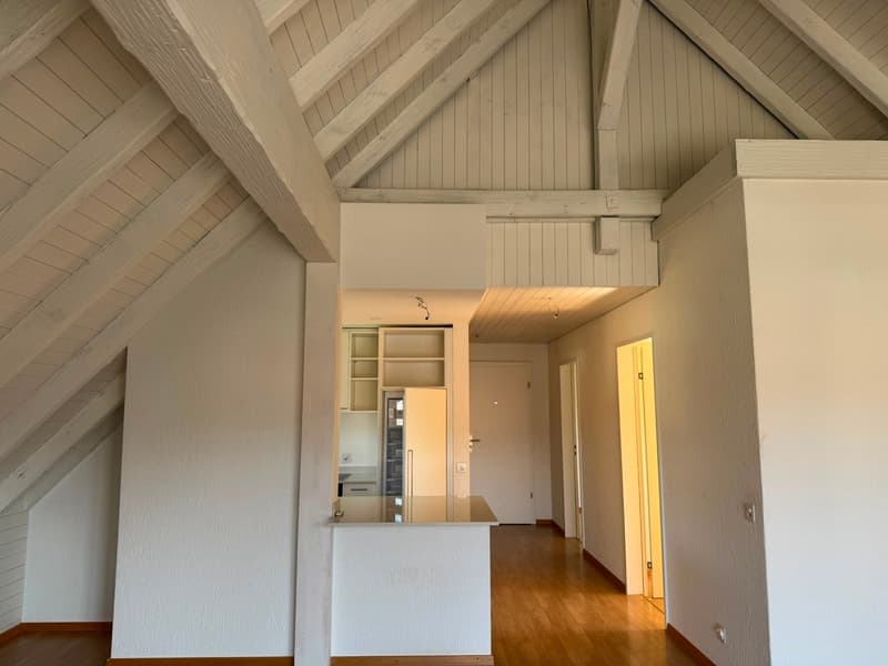 Appartement au calme dans le centre du village (3)