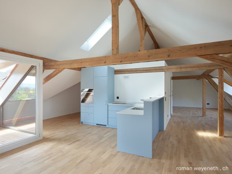 Bright & Stylish Loft - near Basel (1)