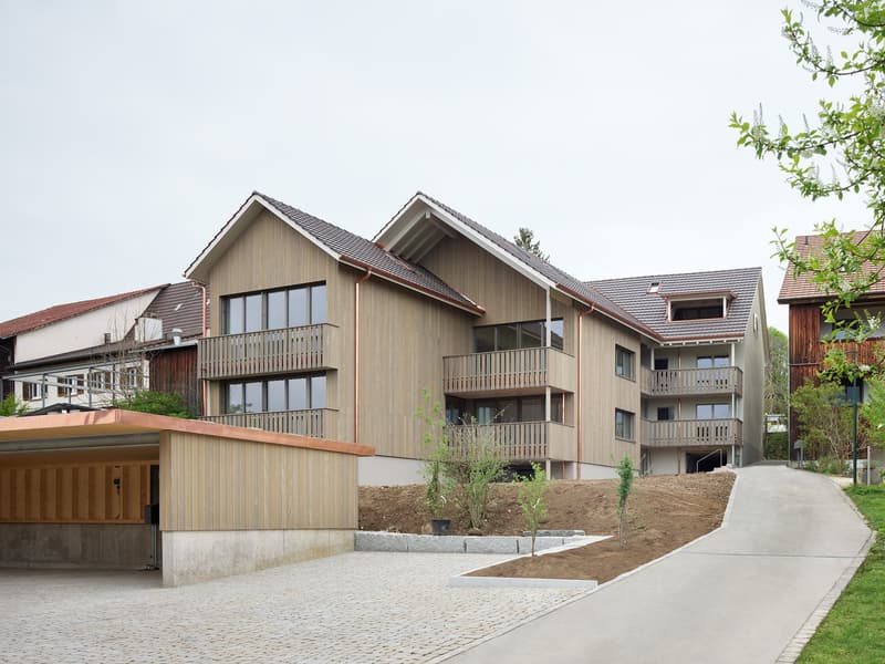 Bright & Stylish Loft - near Basel (12)