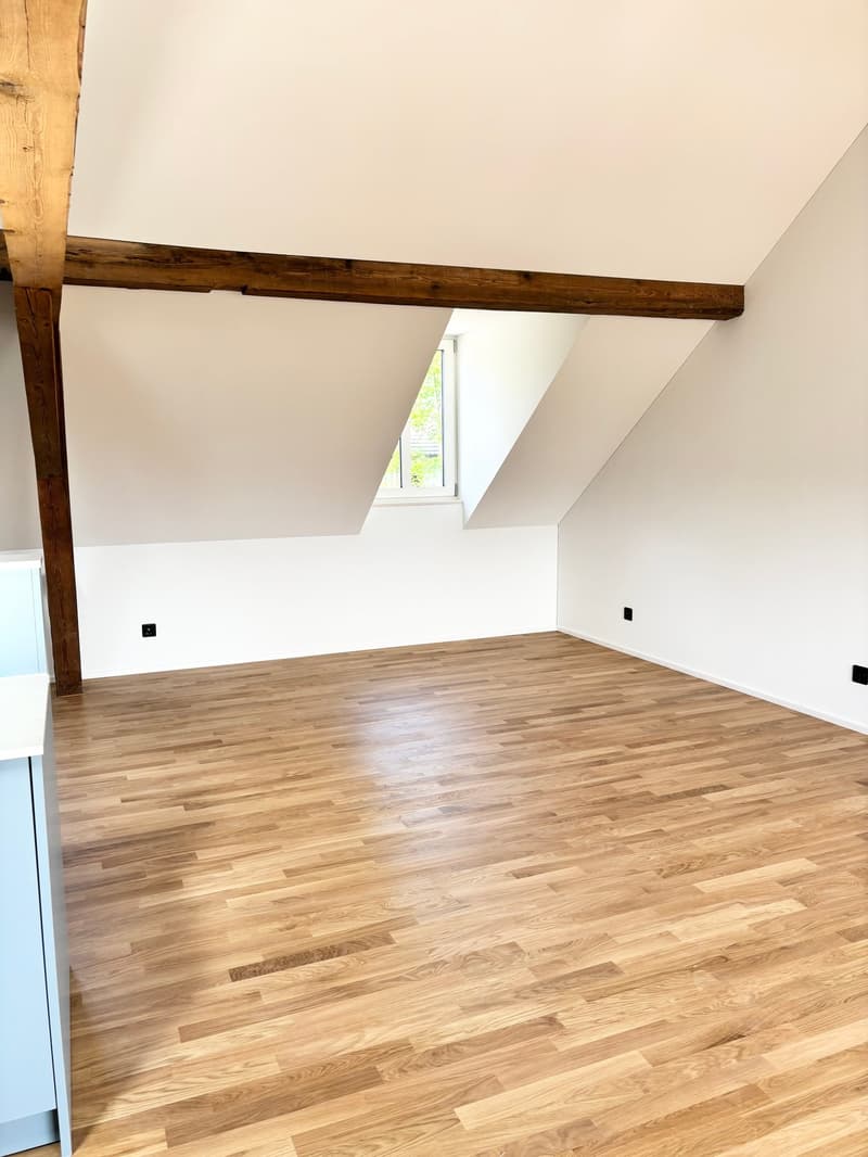 Bright & Stylish Loft - near Basel (5)