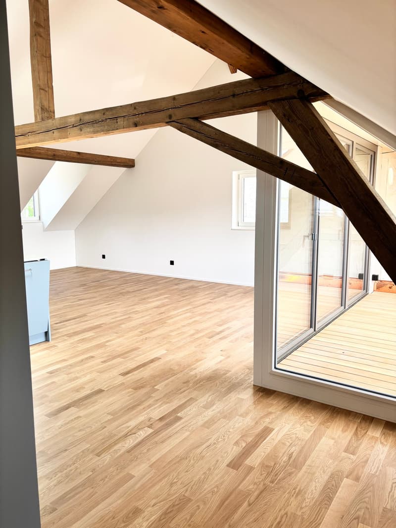 Bright & Stylish Loft - near Basel (4)