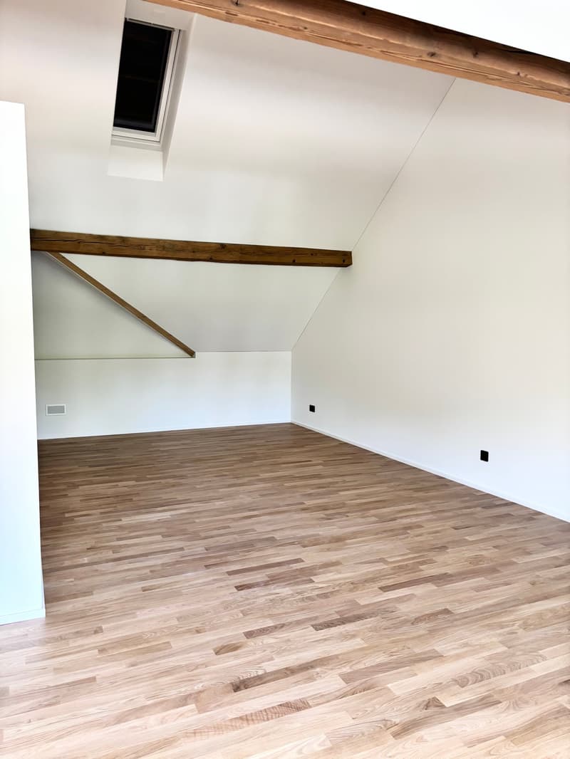 Bright & Stylish Loft - near Basel (7)