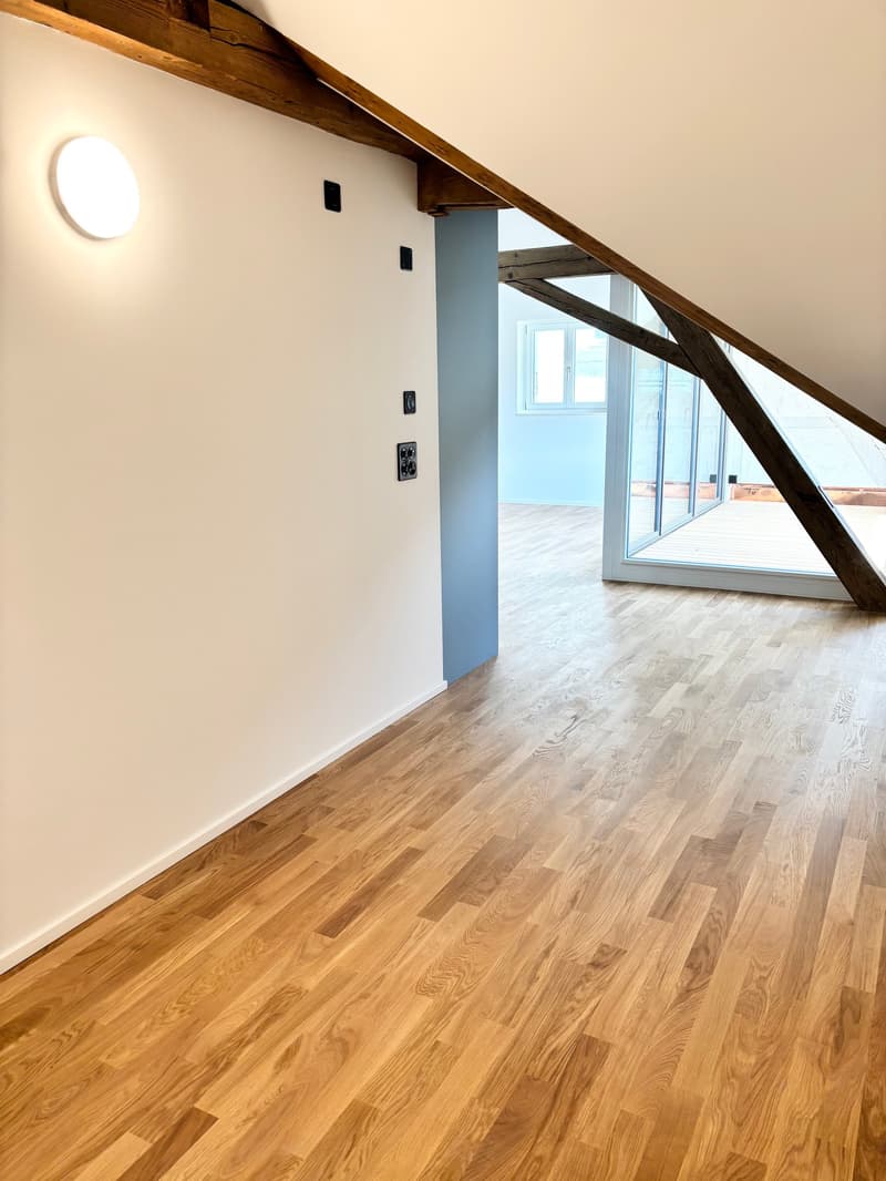 Bright & Stylish Loft - near Basel (10)
