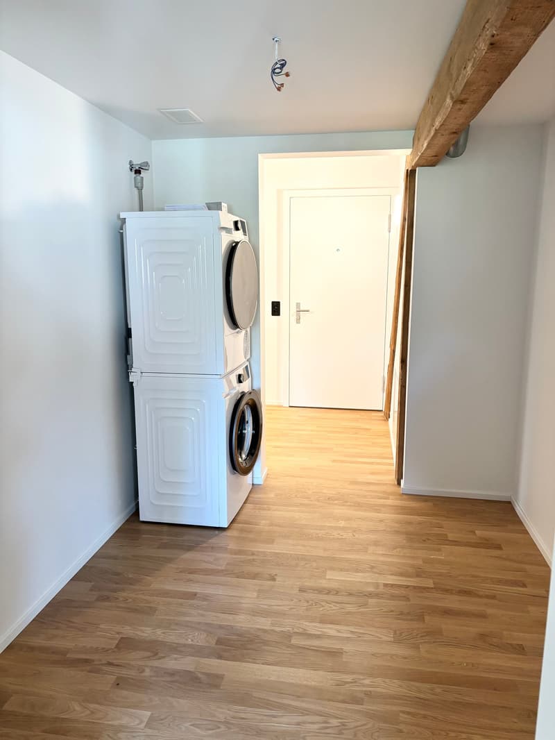Bright & Stylish Loft - near Basel (9)