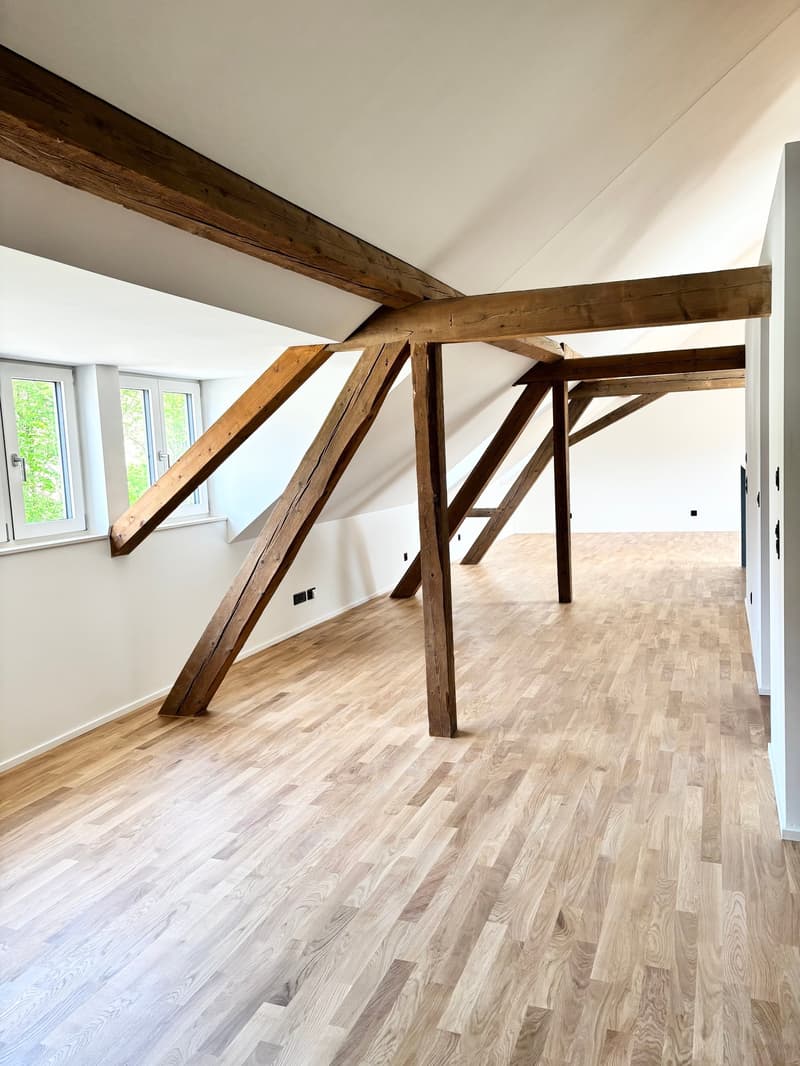 Bright & Stylish Loft - near Basel (6)