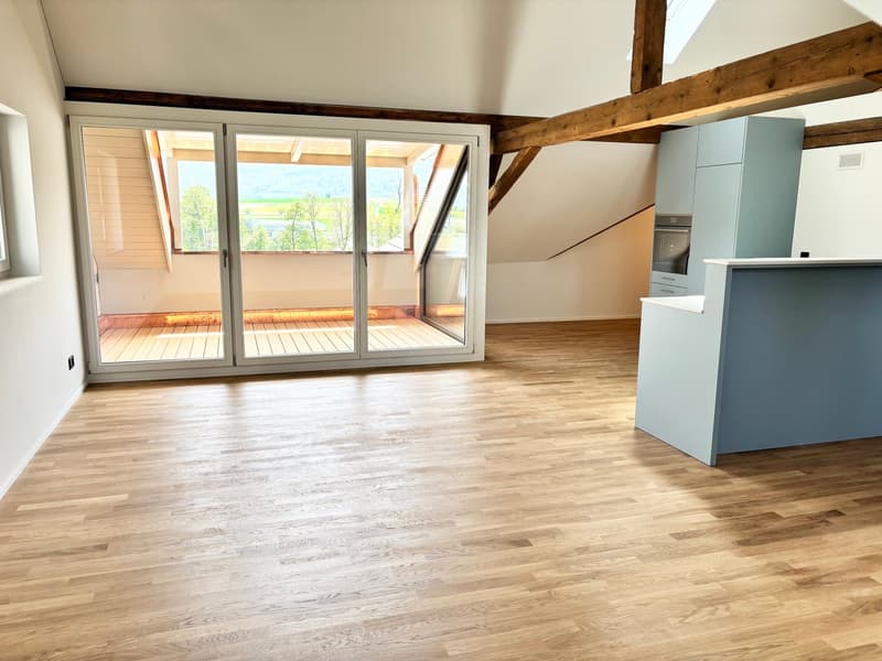 Bright & Stylish Loft - near Basel (2)