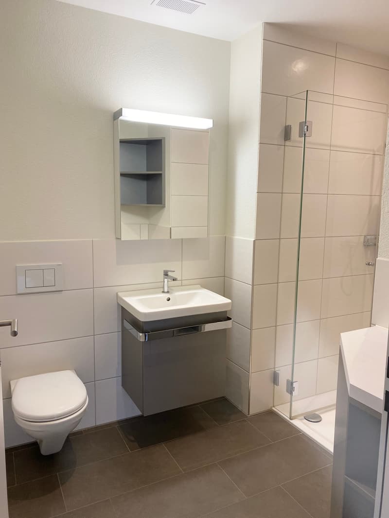Hochwertige 4.5-Zimmerwohnung mit Wintergarten (8)