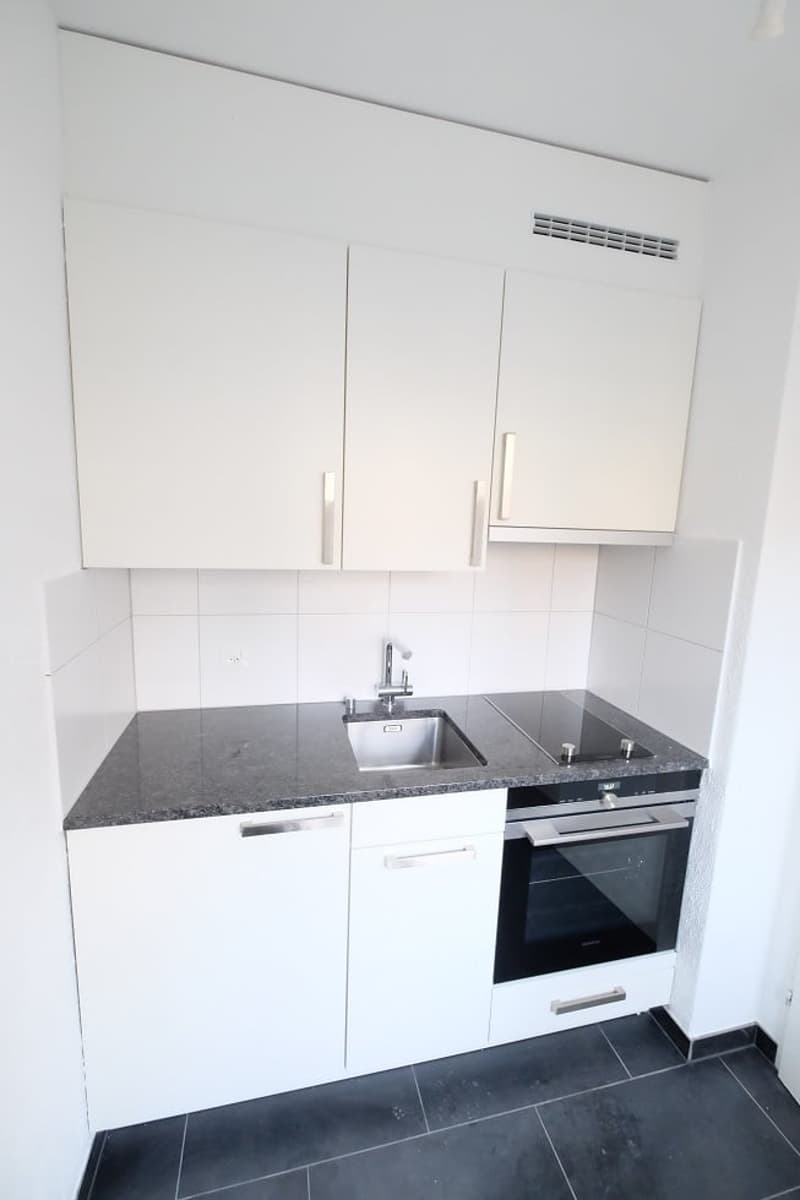 Appartamento da sogno di 1.5 locali con balcone in posizione centrale - recentemente ristrutturato! (3)