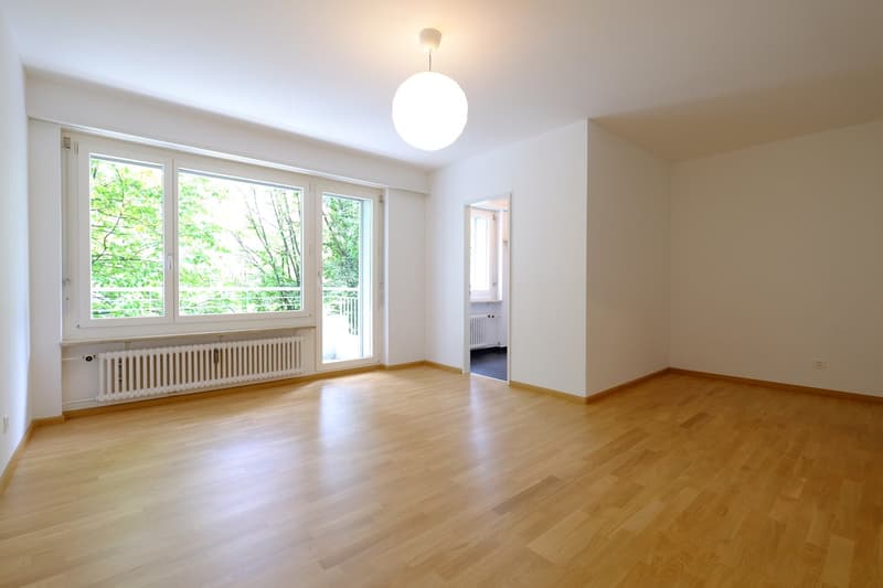 Appartamento da sogno di 1.5 locali con balcone in posizione centrale - recentemente ristrutturato! (1)
