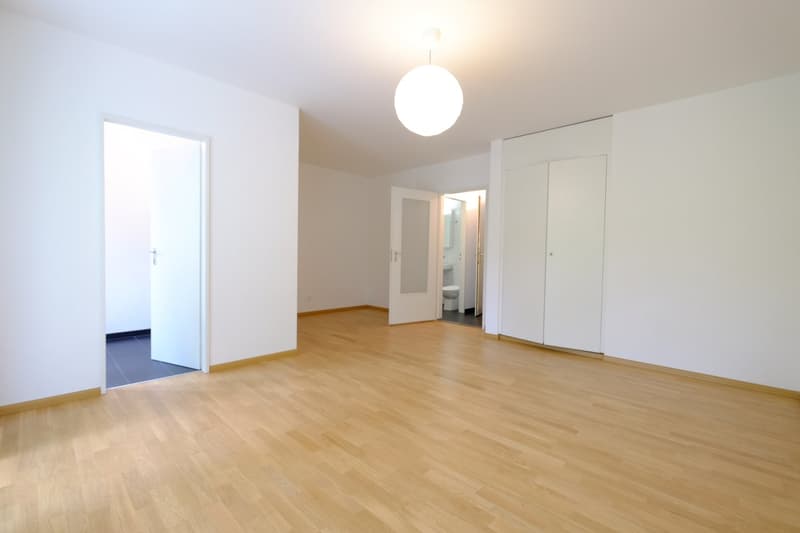 Appartamento da sogno di 1.5 locali con balcone in posizione centrale - recentemente ristrutturato! (2)