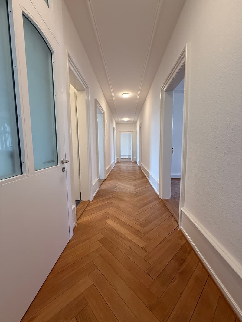 Dreamy 4.5-room apartment with balcony in central location (old building) (3)