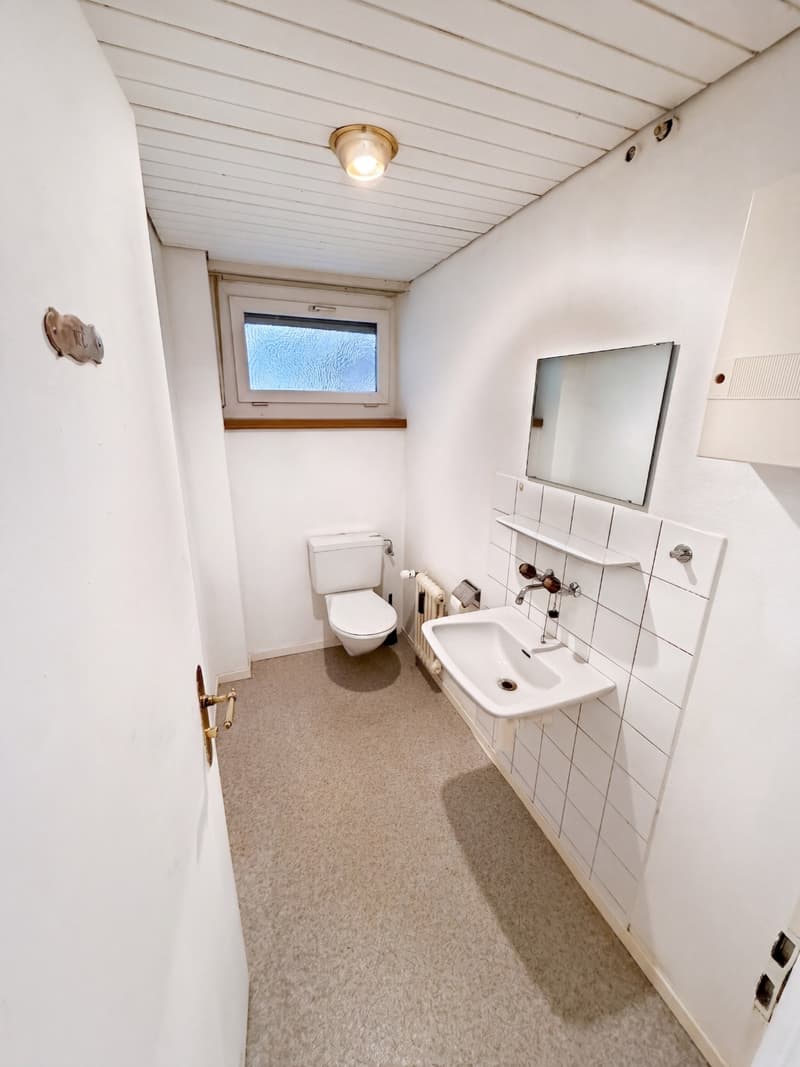 Büro / Atelier / Therapie 50 m2 im Erdgeschoss ! (3)