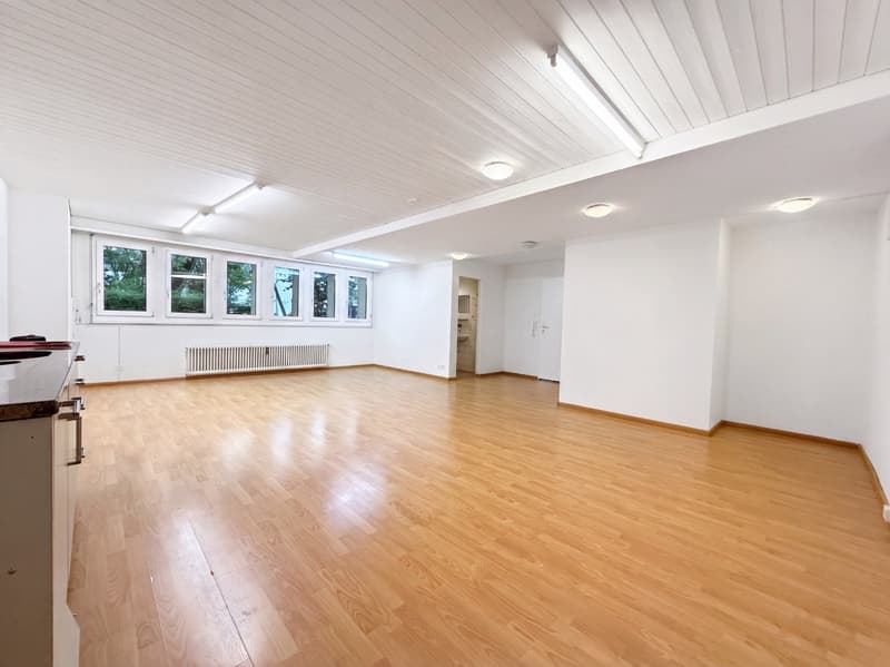 Büro / Atelier / Therapie 50 m2 im Erdgeschoss ! (1)