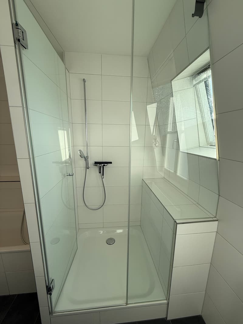 Traumhafte 5.5-ZimmerDACHwohnung mit riesiger Terrasse (60m2) an zentraler Lage (Altbau) (7)