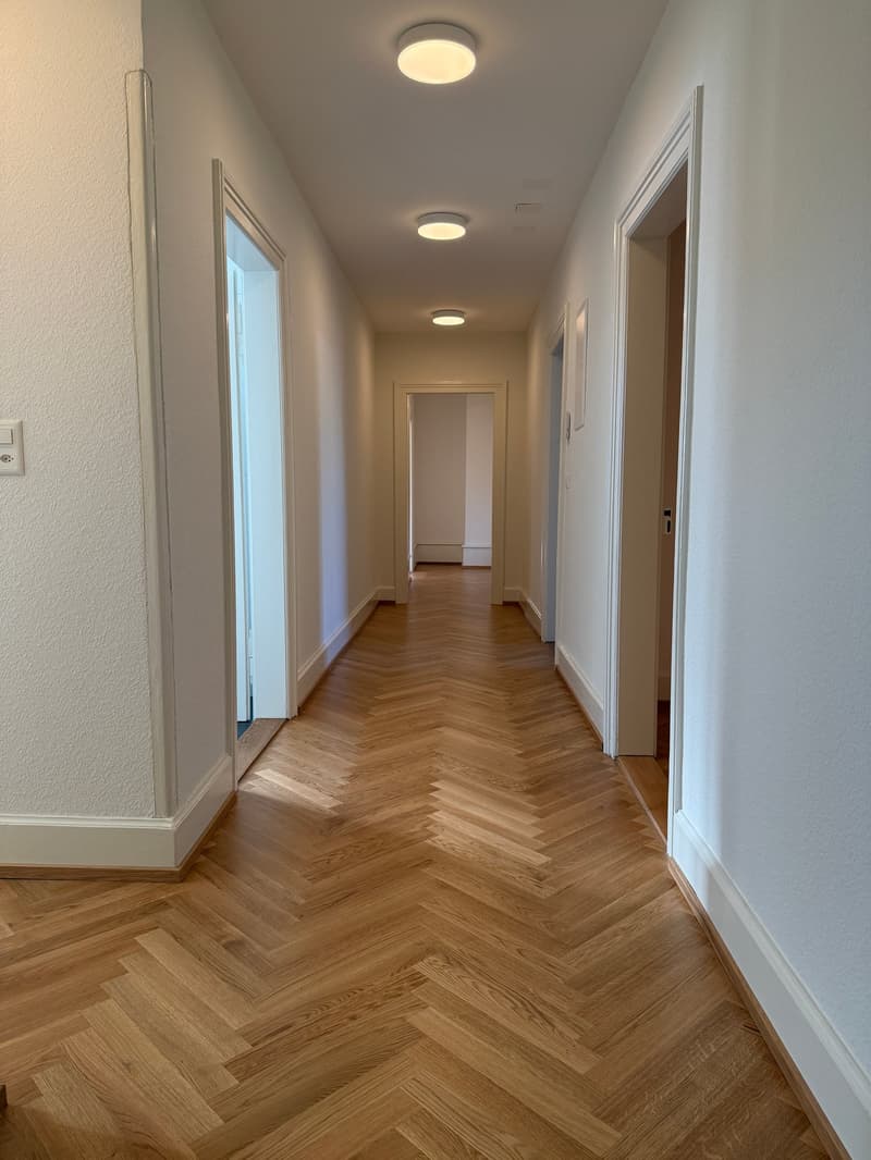 Traumhafte 5.5-ZimmerDACHwohnung mit riesiger Terrasse (60m2) an zentraler Lage (Altbau) (11)