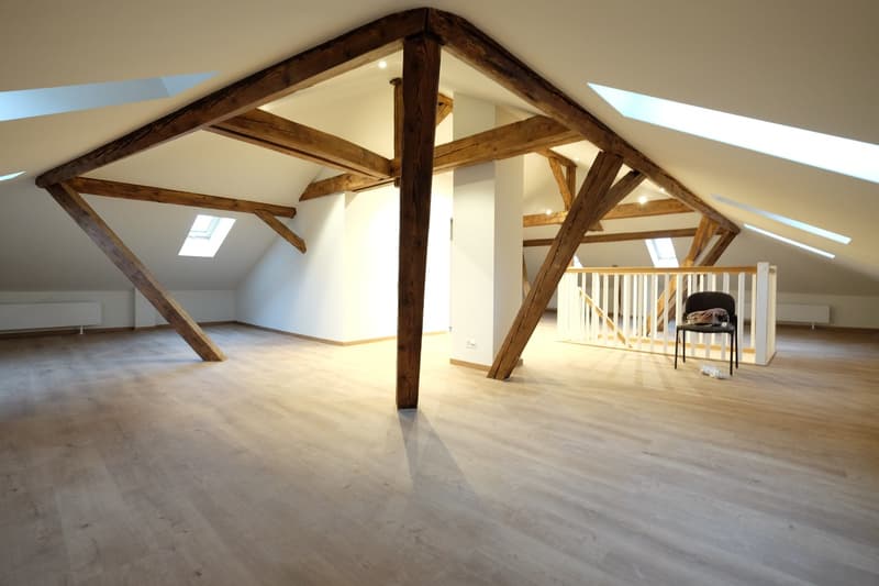 Traumhafte 5.5-ZimmerDACHwohnung mit riesiger Terrasse (60m2) an zentraler Lage (Altbau) (17)