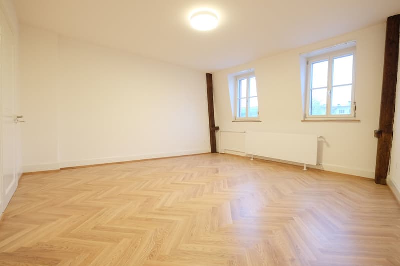Traumhafte 5.5-ZimmerDACHwohnung mit riesiger Terrasse (60m2) an zentraler Lage (Altbau) (13)