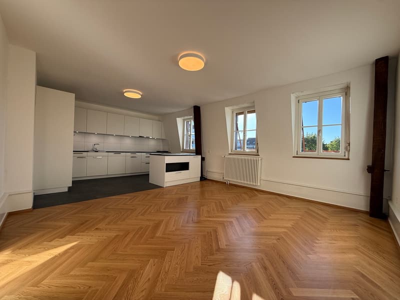 Traumhafte 5.5-ZimmerDACHwohnung mit riesiger Terrasse (60m2) an zentraler Lage (Altbau) (3)