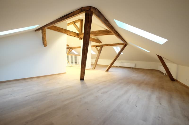 Traumhafte 5.5-ZimmerDACHwohnung mit riesiger Terrasse (60m2) an zentraler Lage (Altbau) (18)
