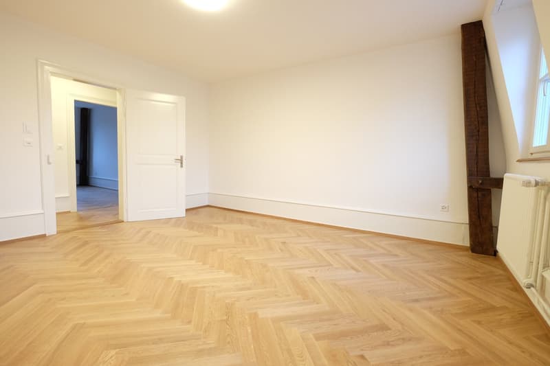 Traumhafte 5.5-ZimmerDACHwohnung mit riesiger Terrasse (60m2) an zentraler Lage (Altbau) (10)