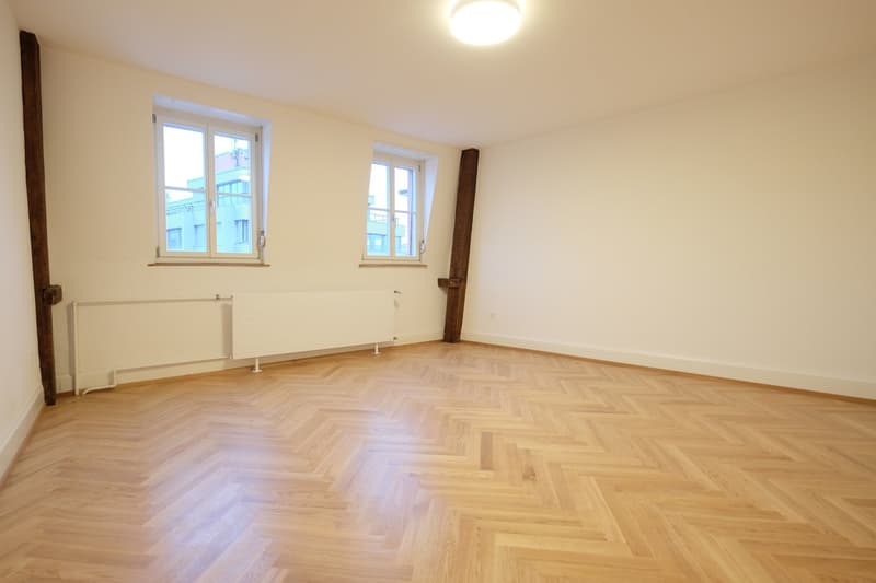 Traumhafte 5.5-ZimmerDACHwohnung mit riesiger Terrasse (60m2) an zentraler Lage (Altbau) (12)