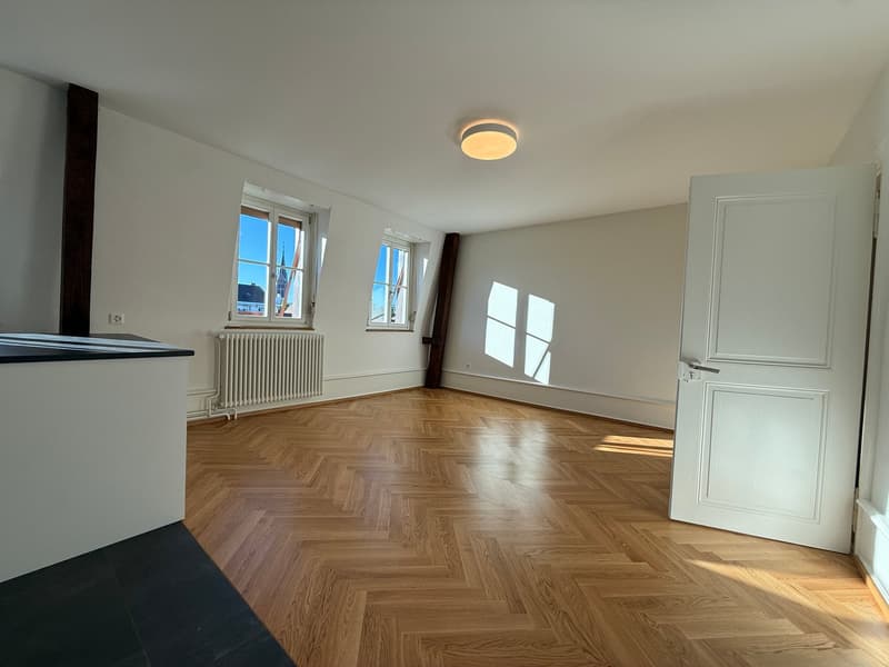 Traumhafte 5.5-ZimmerDACHwohnung mit riesiger Terrasse (60m2) an zentraler Lage (Altbau) (4)