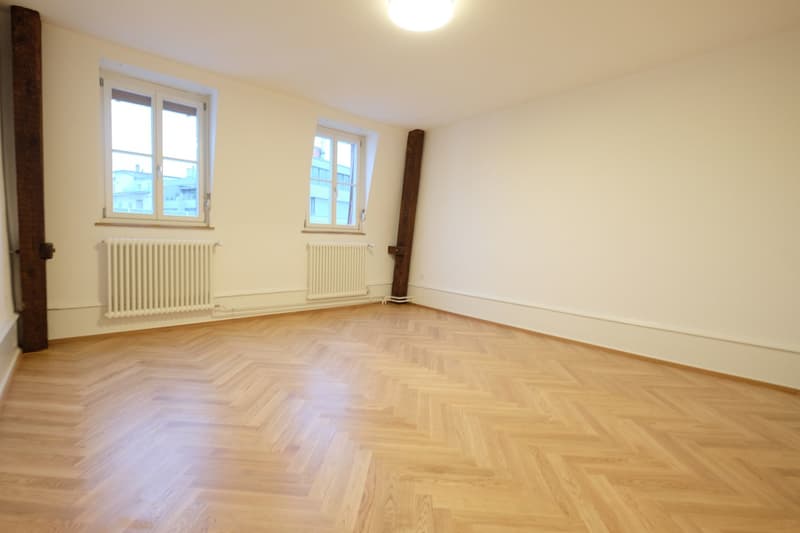 Traumhafte 5.5-ZimmerDACHwohnung mit riesiger Terrasse (60m2) an zentraler Lage (Altbau) (9)