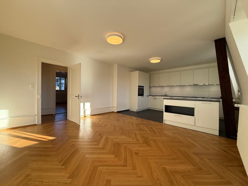 Traumhafte 5.5-ZimmerDACHwohnung mit riesiger Terrasse (60m2) an zentraler Lage (Altbau) (1)