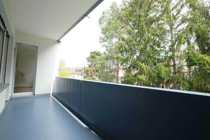 Traumhafte 4-Zimmer-Eigentumswohnung mit grossem Balkon (6)