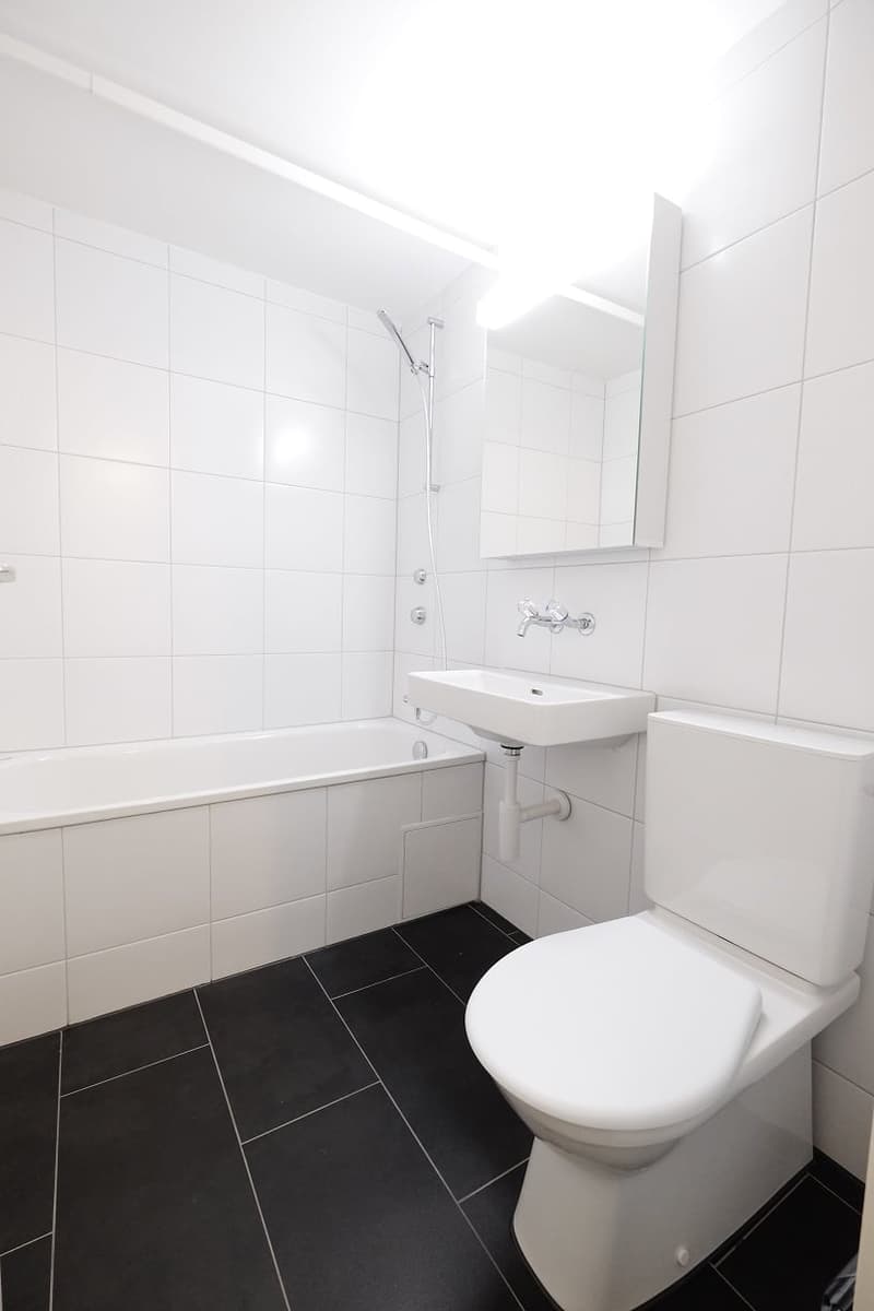 Moderne 1-ZimmerDACHwohnung mit riesigem Dachbalkon (4)